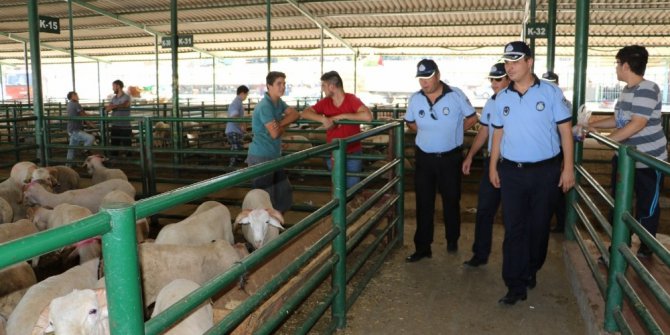 Manisa Büyükşehir Belediye Zabıtası Kurban Bayramı’na hazır
