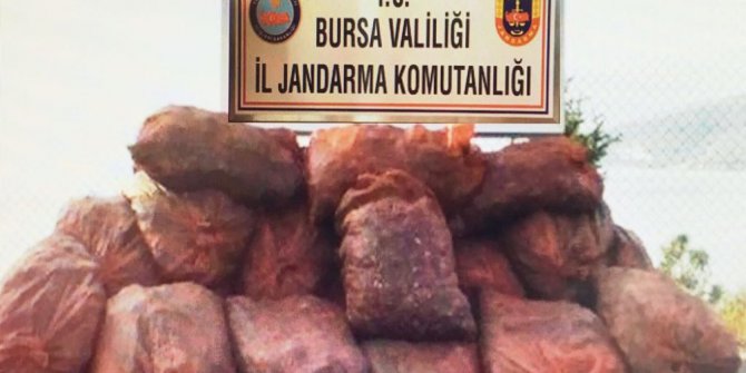 Jandarma ekiplerinden kaçak midye operasyonu