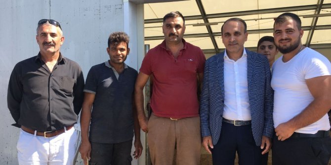 İstanbul’un en ucuz hayvan pazarı Arnavutköy’de