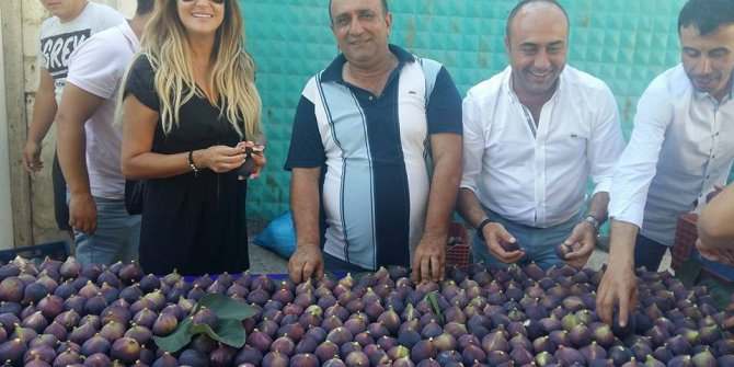En güzel incirler görücüye çıktı
