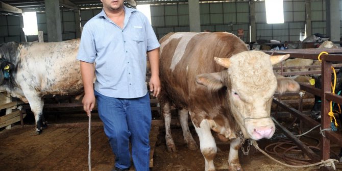 Bafra’da kurbanlık hayvanlara rağbet yok