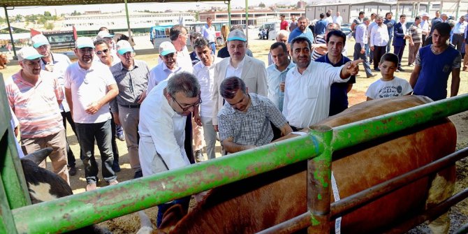 Belediye Başkanı Çakır hayvan pazarında inceleme yaptı