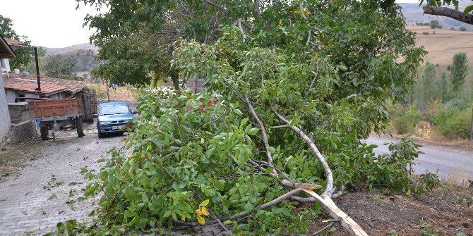 Çorum’da Fırtına Çatıları Uçurdu