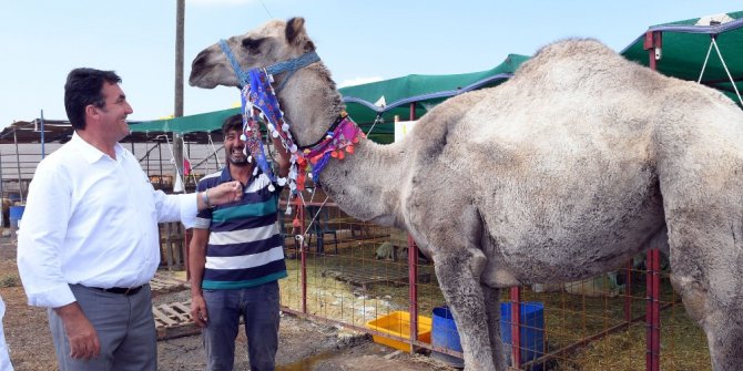 Dündar, kurban pazarlığında arabuluculuk yaptı