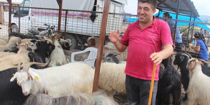 Vezirköprü’de kurban pazarında durgunluk