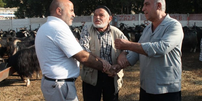 Kurban pazarında pazarlıklar kızıştı