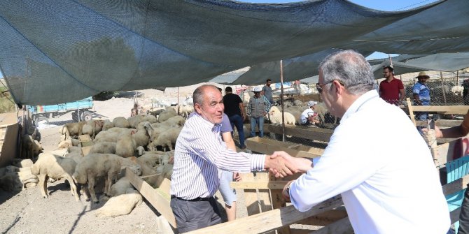 Başkan Çelik Kurban Pazarı’nda