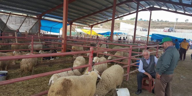 Başkan Namlı, hayvan pazarını ziyaret etti