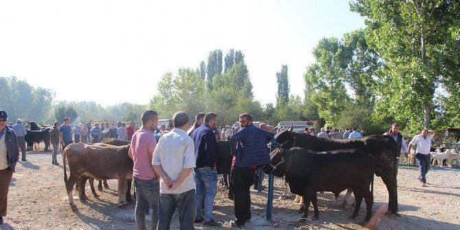 Kurban fiyatları bayrama kısa bir süre kala düşüşe geçti
