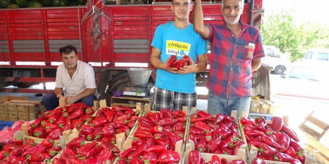 Kırmızı biberin fiyatı el yakıyor