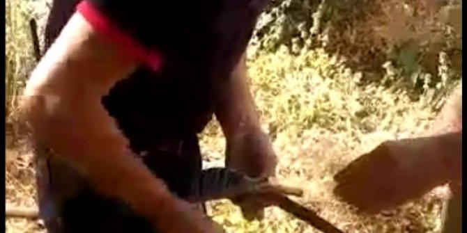 Ağaçta takılı kalan kuş kurtarıldı