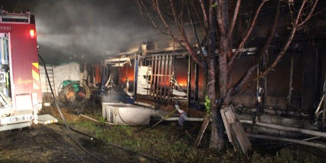 Tavuk Çiftliği Alev Alev Yandı