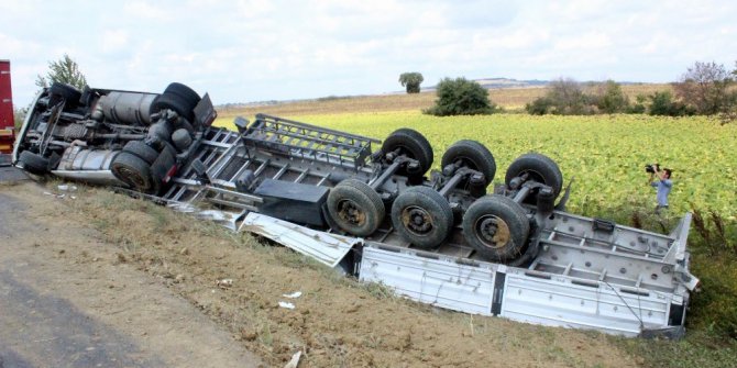Tekirdağ’da tır ayçiçeği tarlasına devrildi
