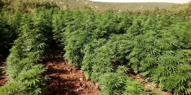 Diyarbakır’da uyuşturucu operasyonu