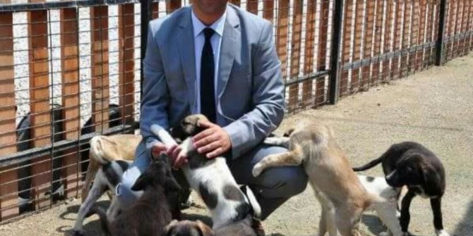 Büyükşehirden petshop açacaklara çağrı