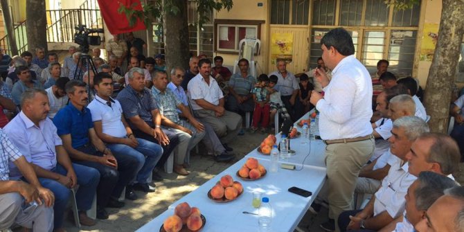 Akdeniz Meyve Sineği ile mücadelede tuzak dönemi başlıyor