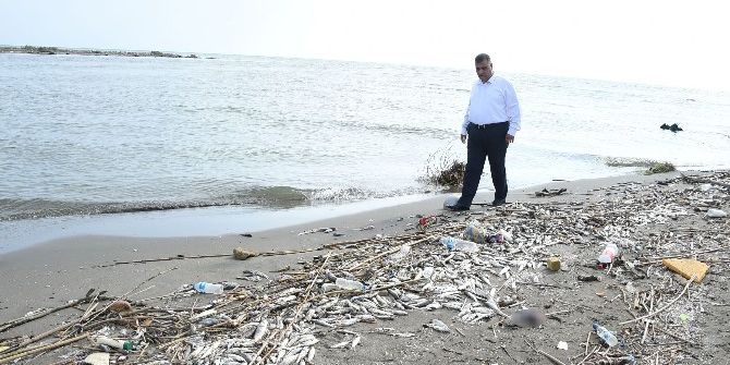 Mersin’deki Balık Ölümleri