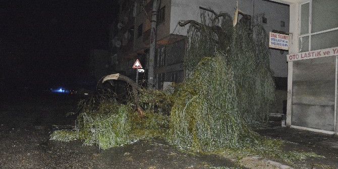 Düzce’de Hortum Çatıları Uçurdu, 3 Kişi Yaralandı