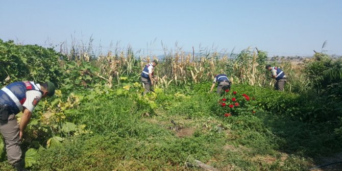 Çanakkale’de uyuşturucu operasyonu