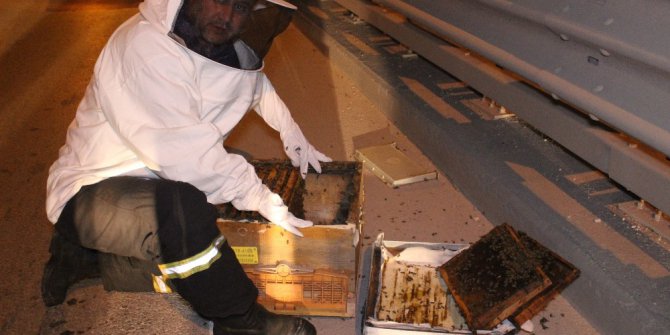 Yola düşen kovandaki arılar telef oldu