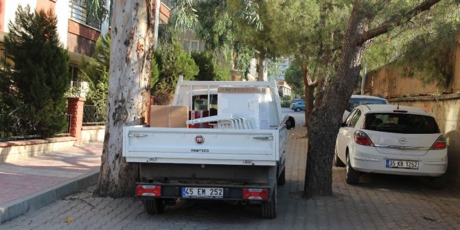 Yol ortasındaki ağaçlar şaşırtıyor