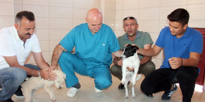 Elazığ’da hayvanlara otel hizmeti