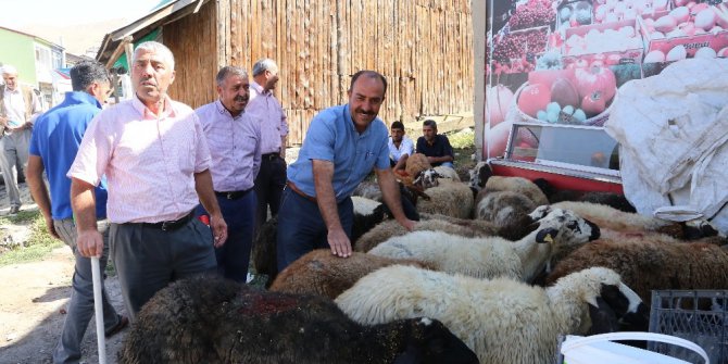 Varto’da kurbanlık satan vatandaşların hayvan pazarı talebi