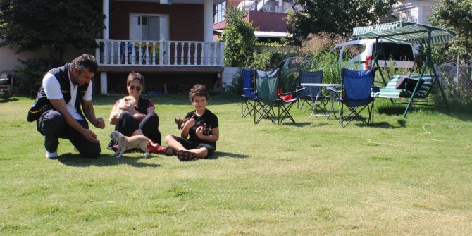 Bayram tatilinde köpek pansiyonları doldu