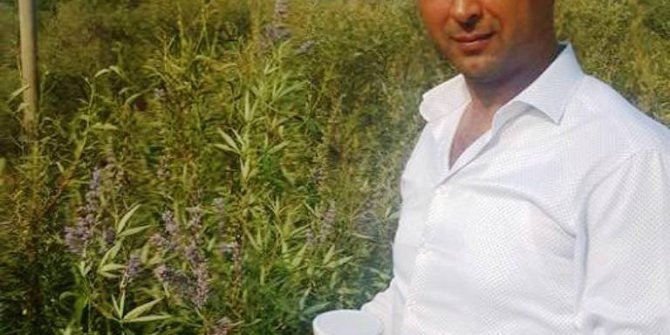 Aydın’ın hayıt balını markalaştırıp pazarlayacaklar