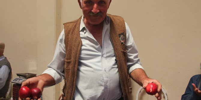 Yerli tüysüz şeftali tezgahlarda yerini aldı