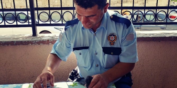 Yaralı güvercine polis sahip çıktı