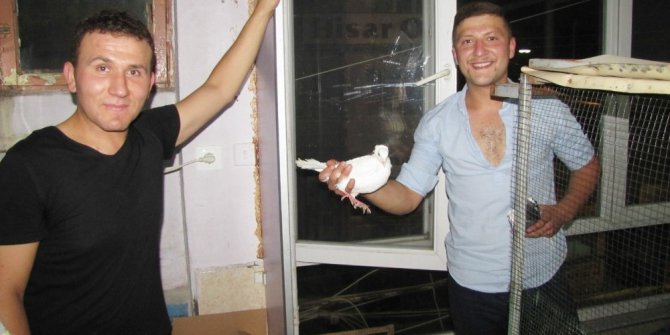 Güvercin meraklıları Hisarcık’ta buluştu