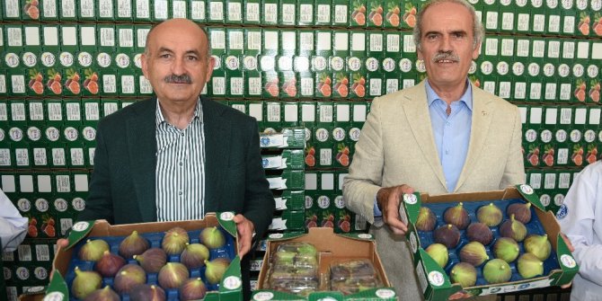 Siyah incir üreticisinin yüzü gülüyor