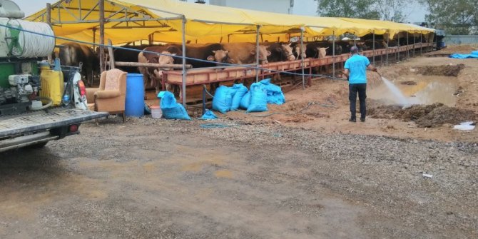 Kurban satış yerlerinde ilaçlama çalışması
