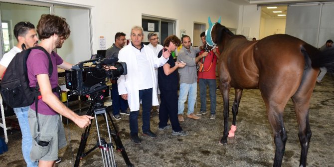 Açıköğretimden ders uygulama videoları