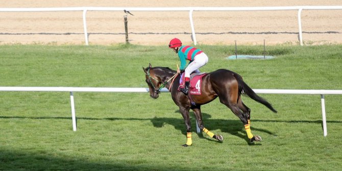 Başkanlık Koşusu’nda zafer Zümrüthan’ın