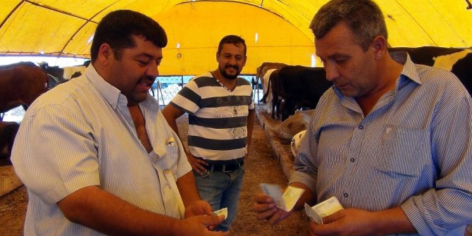 Çorlu kurban pazarında besicinin tadı tuzu yok