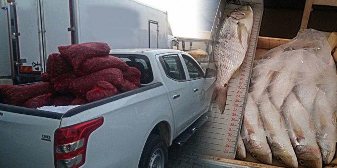 Çanakkale’de su ürünleri kontrolü