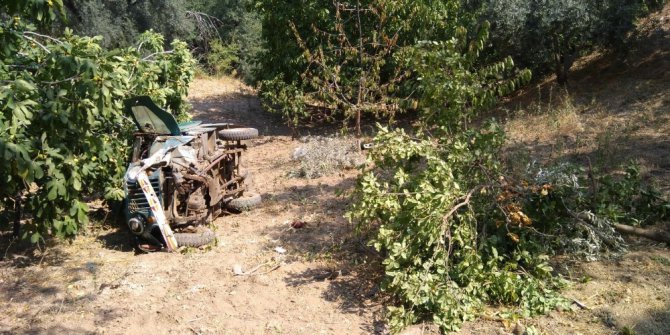 Kurbanlık koç kazaya neden oldu; 1’i ağır 2 yaralı