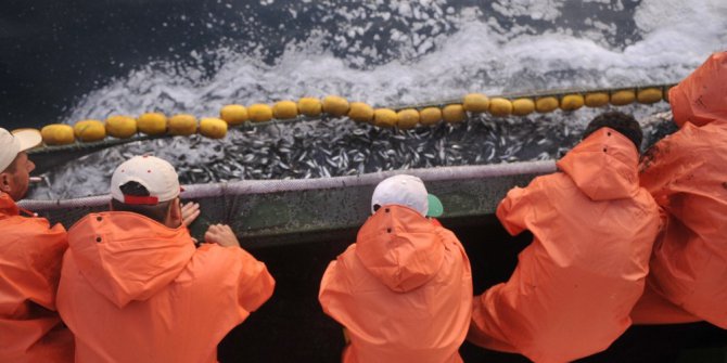 Av yasağı sona eriyor