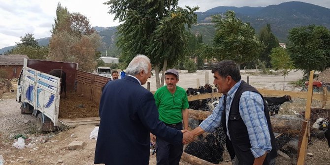 Reşadiye’de kurban pazarında küçükbaş hayvana ilgi