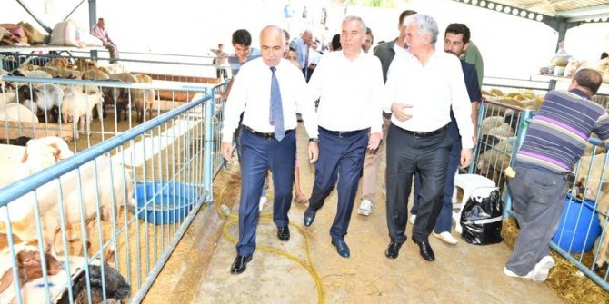 Vali Karahan canlı hayvan pazarında incelemelerde bulundu