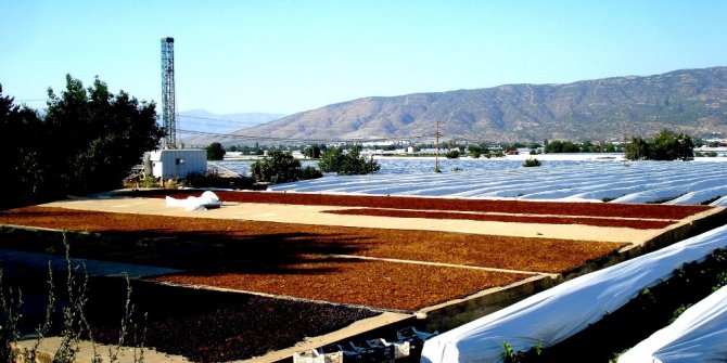 TARİŞ’in kuru üzüm fiyatlarını açıklaması istendi