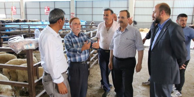 Başkan Şahin, hayvan pazarını inceledi