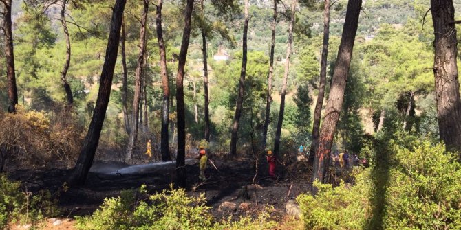 Dalaman’da Orman Yangını