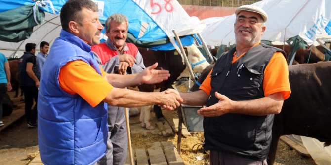 Sahibinden satılık e-kurbanlık