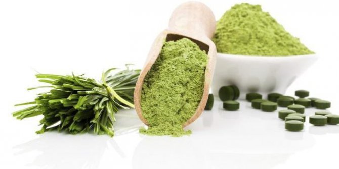 Vitamin ve protein deposu su yosunları