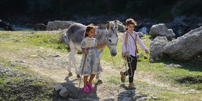 Usta Yönetmen Onur Tan’dan Sımsıcak bir aile filmi: “Bal Kaymak”