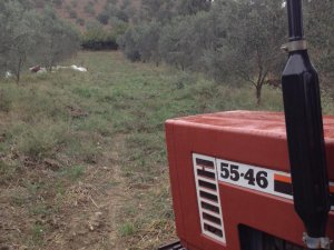 Adana İmamoğlu Sayca Köyü