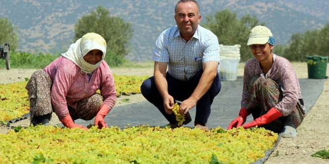 Ziraat Odasından "Üzümünü açığa dökme" uyarısı